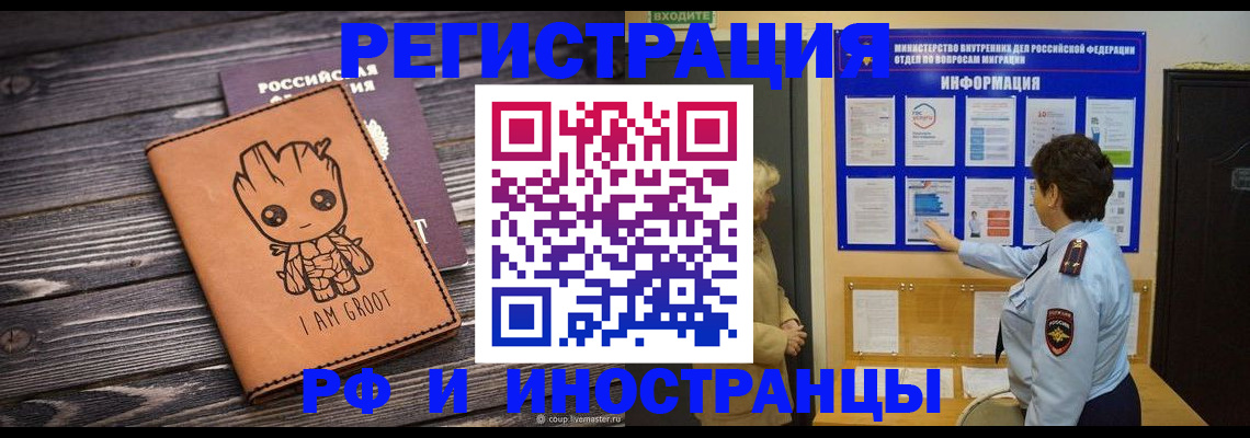 прописка 2025 в Сольцах